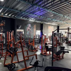 Zona Fit GS