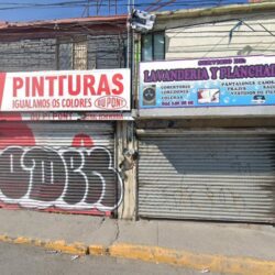 Lavandería y planchaduría flores
