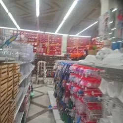 PARISINA CHILPANCINGO POSADA