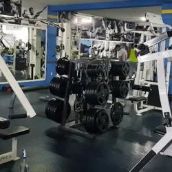Fitness Internacional Morelia GYM y Venta de equipo Importado para Gimnasio