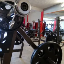 Muscle Club Gym