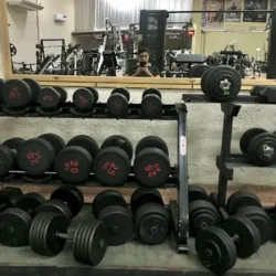 Gym Pain Zone