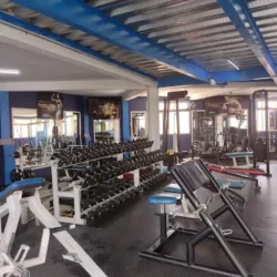 GYM Pegaso
