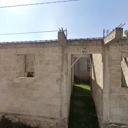 Barzazito jalacingo