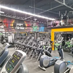Pulsar Forge Gym