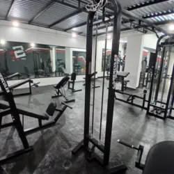 Studio Fit GMP