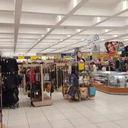 Coppel Club de Leones