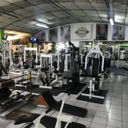Gerner GYM