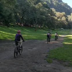 Workout Dynamo