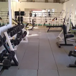 TEMPLE GYM