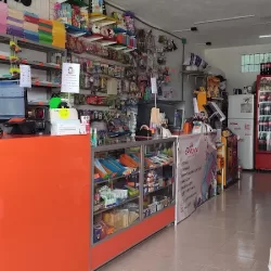 Tienda y papelería la conchita
