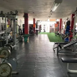GYM BODY FACTORY