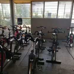 Apolo Gym Fitness Exercise