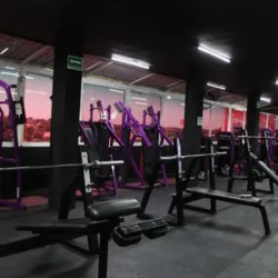 Lionfit Pradera Dorada 3