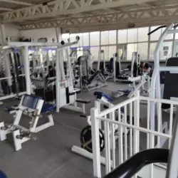 Albatros GYM Muscle Factory