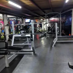 Biosen Gym