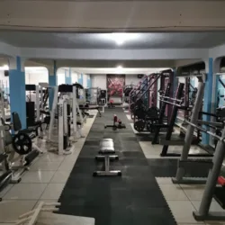 Muscle Fitness Gym