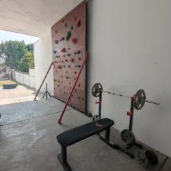 Rhino gym