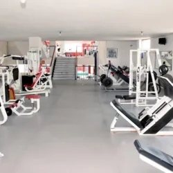 Iron Gym Constituyentes