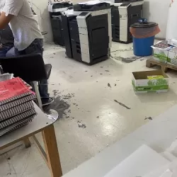 copiaso piedras negras