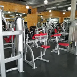 Go Fit