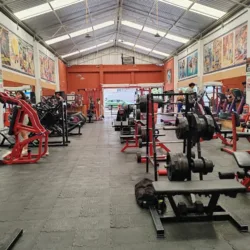 Momentum Gym & Fitness