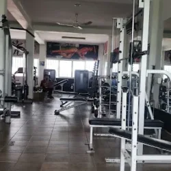 Force GYM