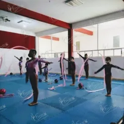 Gimnasia Rítmica "Fénix" Zumpango, Jaltenco y Nextlalpan