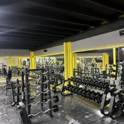 FitVibes Gym Fundadores