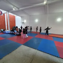 Zen Shi Kai Nezahualcóyotl karate do