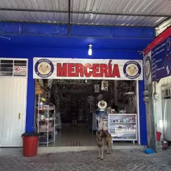 Merceria el Borreguin