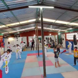 Richard Chun Taekwondo "Team Medina"
