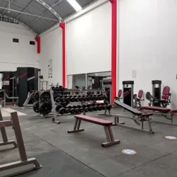 GIMNASIO FORZA GYM