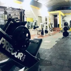 GYM ELEMENT FIT