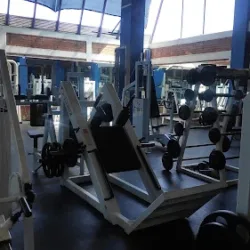 Master Gym