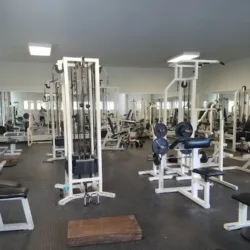 GIMNASIO MUNICIPAL ALAMOS DEL PARQUE