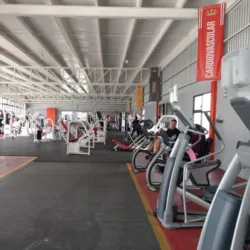 Lion's Gym