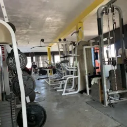 Fenix Gym