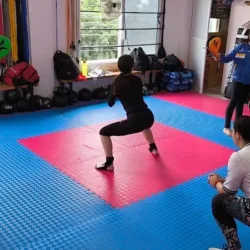 INSTITUTO CHOSON SUL TAEKWONDO "ESCUELA CENTRAL"