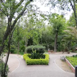 Parque Benito Juárez
