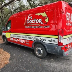 Bug Doctor