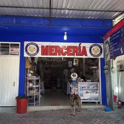 Merceria el Borreguin