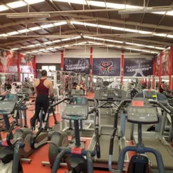 BEEST Gym & Fitness León