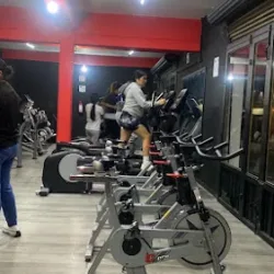 Fitness Fit