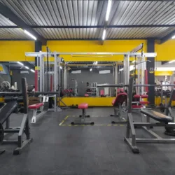 AM Fitness Madero