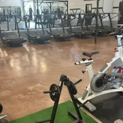 Pavis Gym