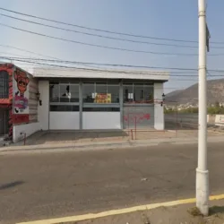 TIGER GYM