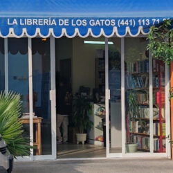 La librería de los gatos