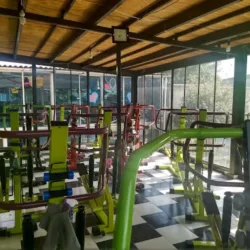 Ladies Fitness