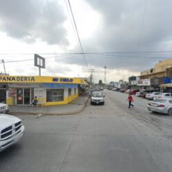 Librería Lámpara